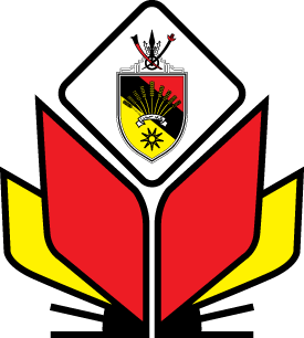 logo yns
